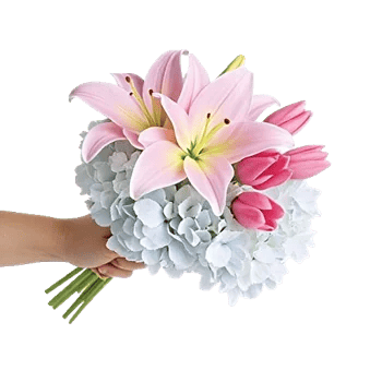 Blossom Harmony Display