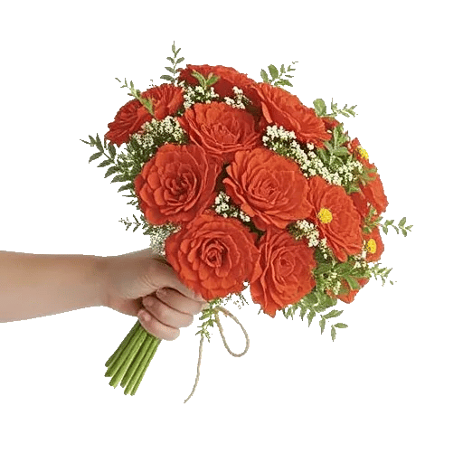 Petal Harmony Bliss