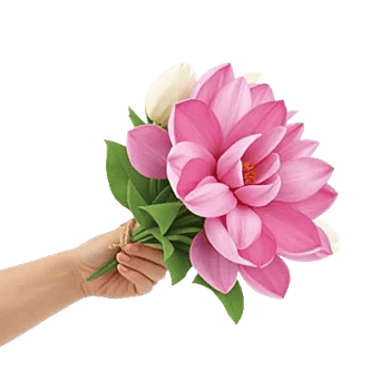 Blossom Petal Serenity