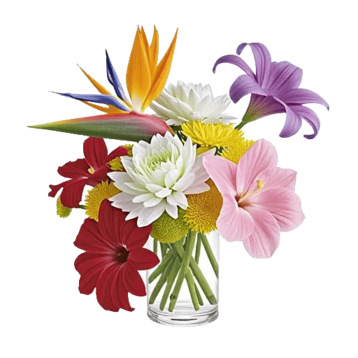 Petal Radiance Bliss
