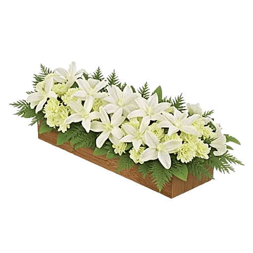 Delicate Petal Cascade