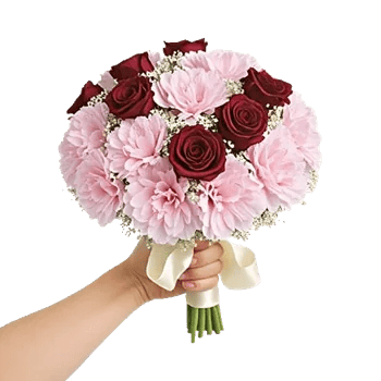 Pastel Pink Roses