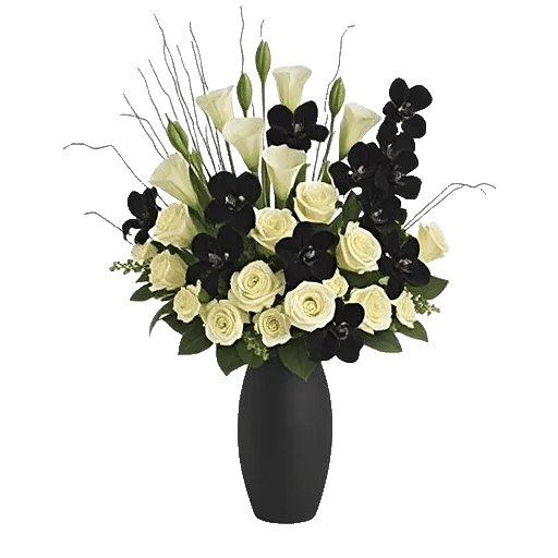 Elegant Calla Lilies
