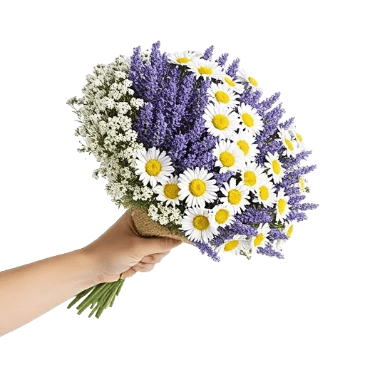 Pastel Blossom Grace