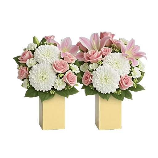 Blossom Harmony Display