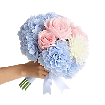 Serene Petal Harmony