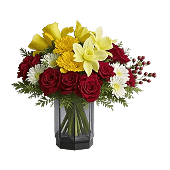 Petal Radiance Bliss