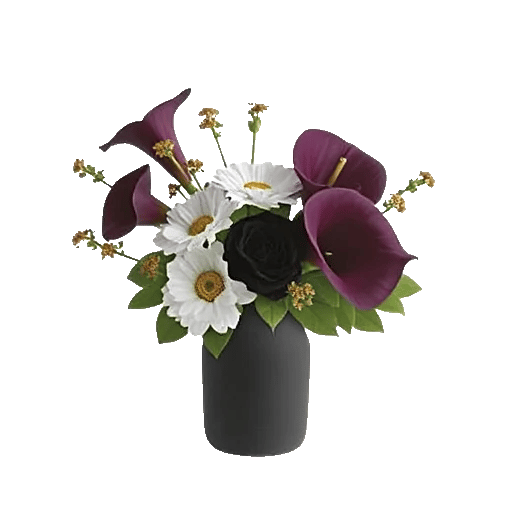 Elegant Calla Lilies