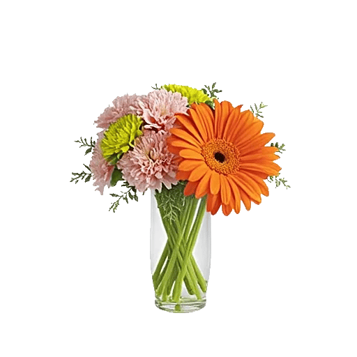 Petal Harmony Bliss