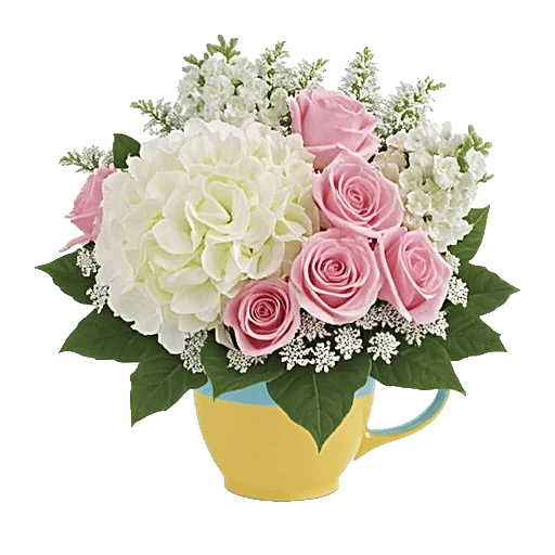 Serene Petal Harmony