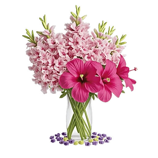 Petal Radiance Bliss
