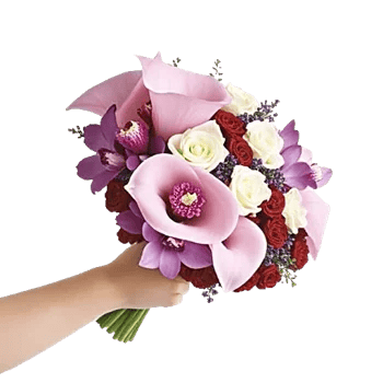 Elegant Calla Lilies