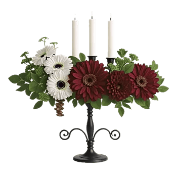 Ivory Blossom Radiance