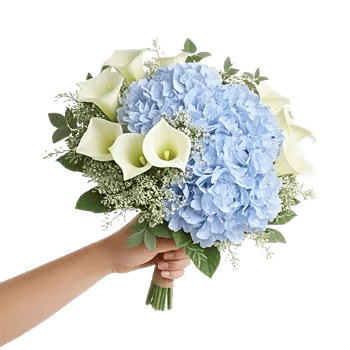 Serene Petal Harmony