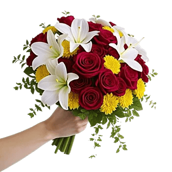 Crimson Rose Elegance