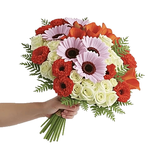 Delicate Petal Cascade