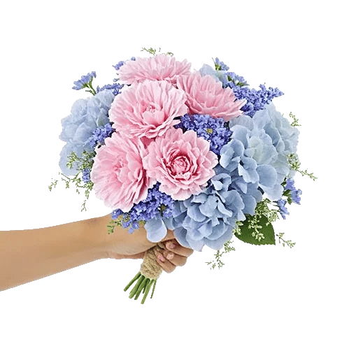 Pastel Blossom Grace