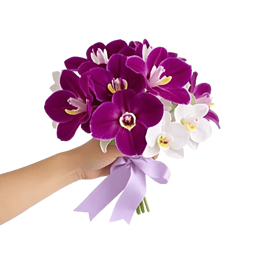 Orchid Petal Glow