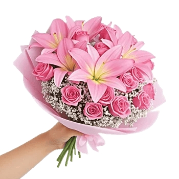 Blushing Rose Symphony