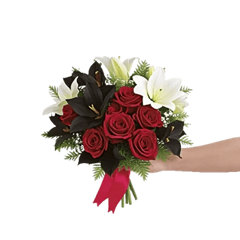 Crimson Rose Elegance