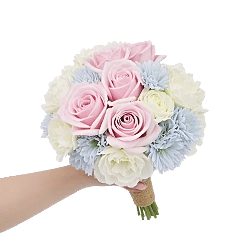 Pastel Pink Roses