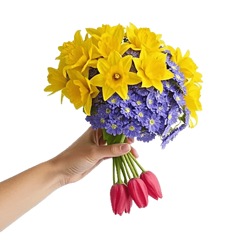 Blossom Harmony Display