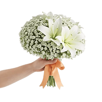 Ivory Garden Grace
