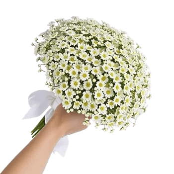 Rosemary Bloom Elegance