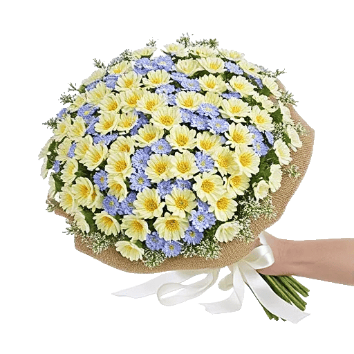 Blossom Petal Serenity