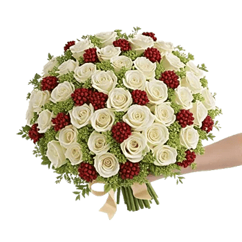 Blushing Rose Symphony