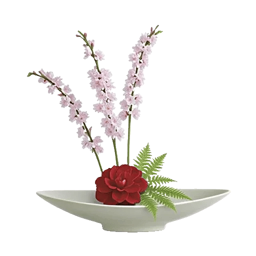 Blossom Petal Serenity