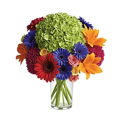 Petal Radiance Bliss