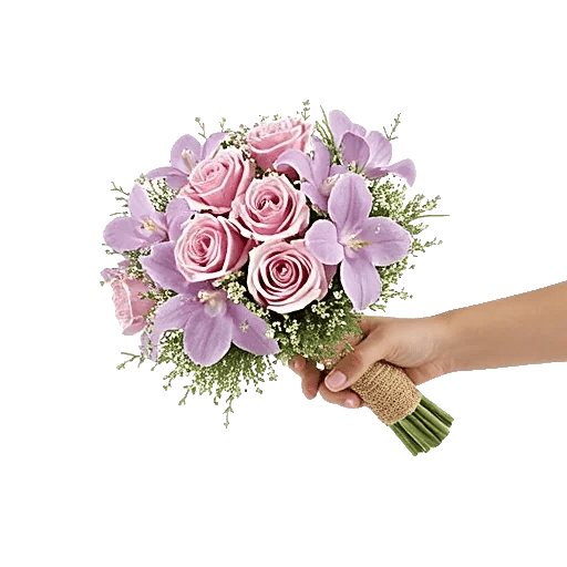 Pastel Pink Roses