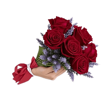 Crimson Rose Elegance