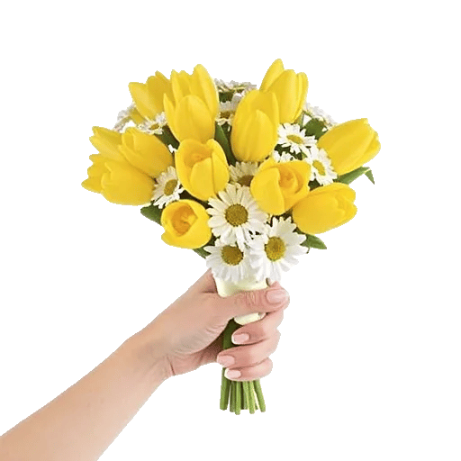 Blossom Harmony Display