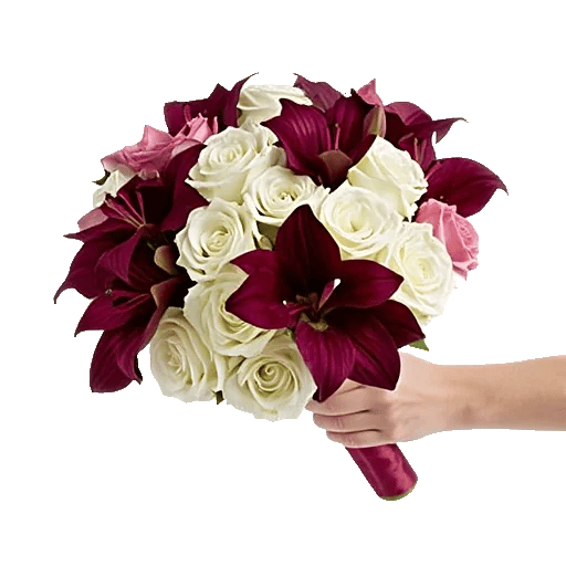 Blushing Rose Symphony