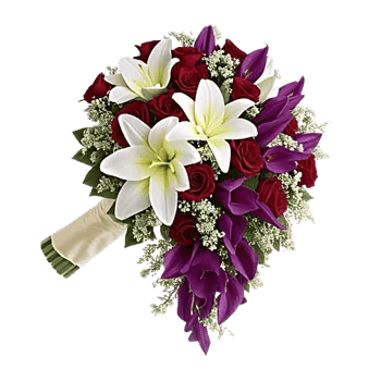 Delicate Petal Cascade