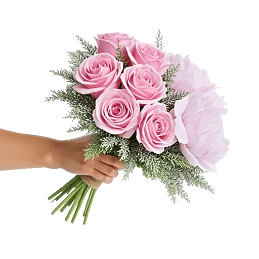 Pastel Pink Roses