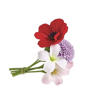 Ivory Blossom Radiance