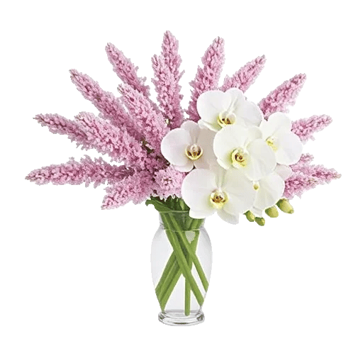 Orchid Bloom Cascade