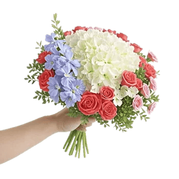 Serene Petal Harmony