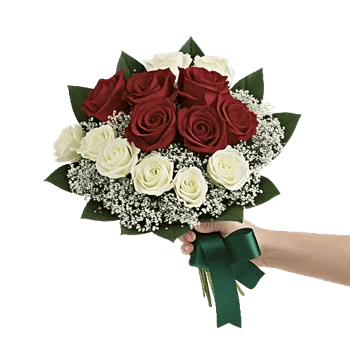 Crimson Rose Elegance