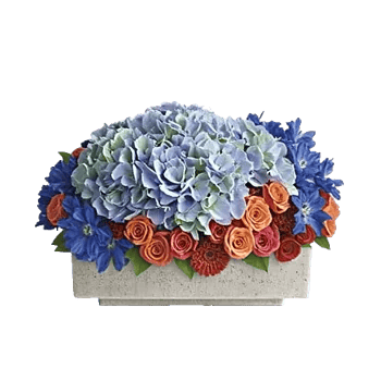 Sapphire Bloom Whisper