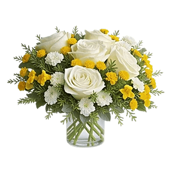 Modern White Orchids