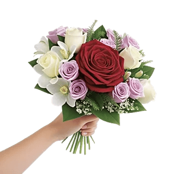 Crimson Rose Elegance