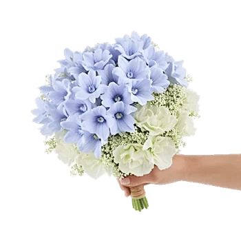 Blossom Petal Serenity