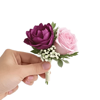 Plum Blossom Radiance