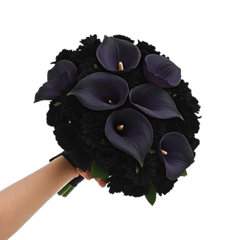 Elegant Calla Lilies
