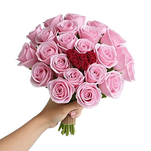 Pastel Pink Roses