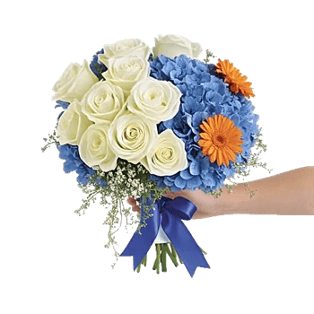 Serene Petal Harmony